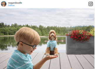 Watch This Labradoodle and a Foster Child Being Adorable Best Friends