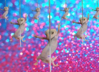 Ridiculously Photogenic Gecko Inspires Photoshop Experts to Picture It in Various Situations