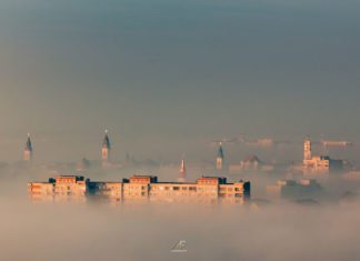 Photographer Waits For 5 Years To Capture A Very Special Moment