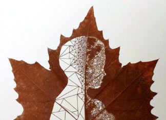 Leaf Art Will Leave You Speechless