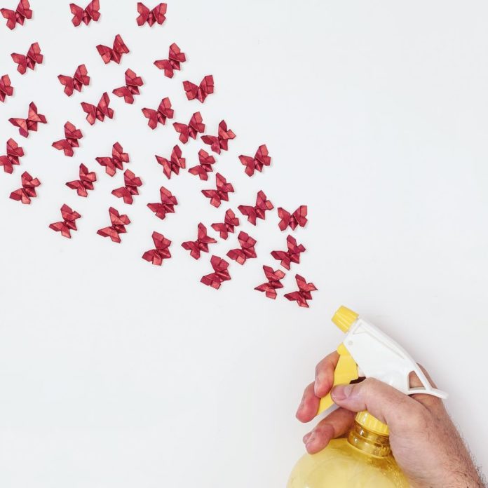 22344465_130488844271757_4345244960556056576_n(1)