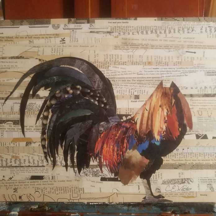 25010658_1969656709974480_3595767639781146624_n(1)