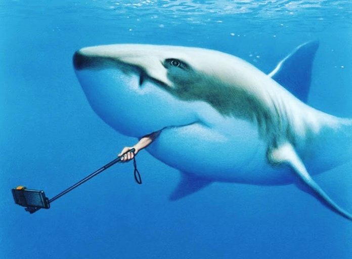 29401858_347203719120365_7459775413334573056_n