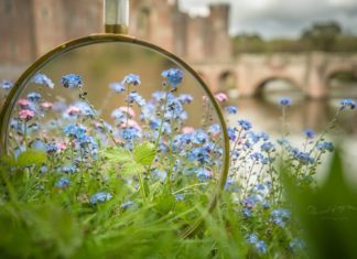 See the Beauty of the Spring Under Magnifying Glass