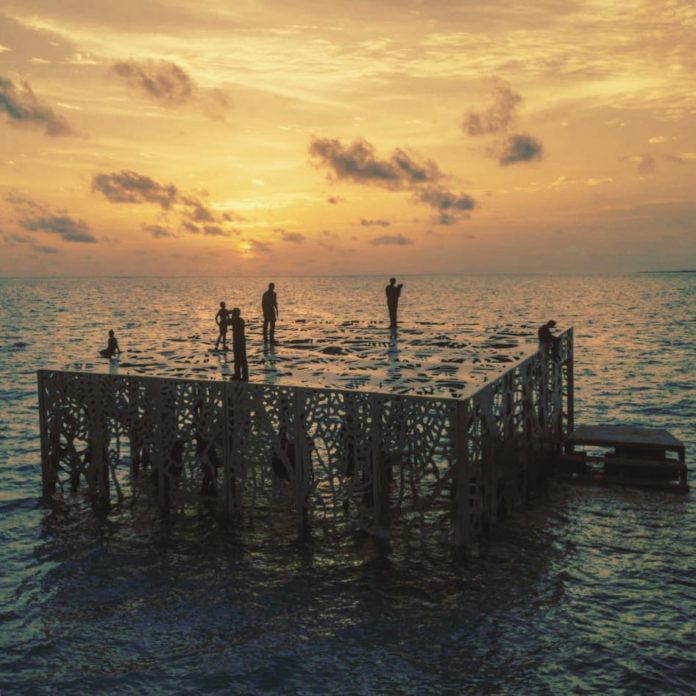 35992814_2046721215578096_6468236557550616576_n