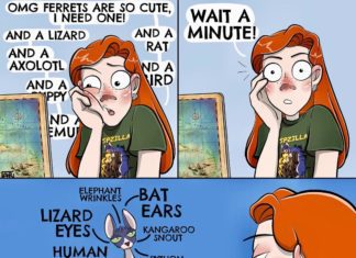 Young Artist Turns Her Life to a Hilarious Comic