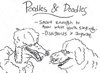 Funny Guide to Dog Breeds Can Help You Choose Your New Pet