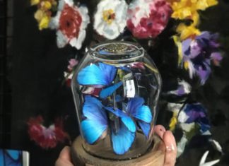 Artist Creates Paper Butterflies in Memory of Her Grandmother