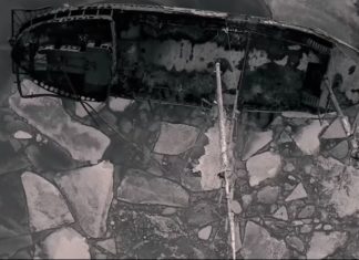 Moby’s New Music Video Shows the World If People Would Extinct