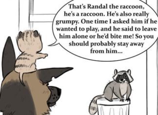 Cartoonist Shows the True Friendship Between Kitten and Dog