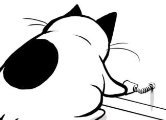 Adorable Comics About a Rescued Cat