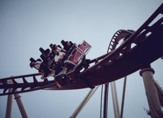 The Effect of Rollercoasters on Your Body