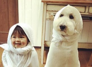 Japanese Woman Takes Photos of Granddaughter With Poodle