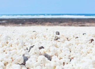 Take a Look at This Beach That is Covered In Popcorn