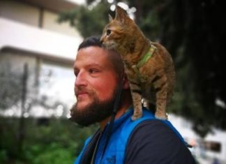 A Scottish Man is Biking around the World With a Cat on His Back