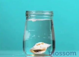 Fun Science Experiments You Can Try for Yourself