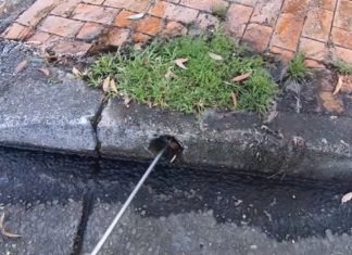 Drain Cleaning Videos Are Surprisingly Satisfying