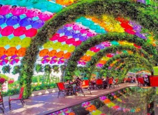 Wow! Have You Seen Dubai Miracle Garden?