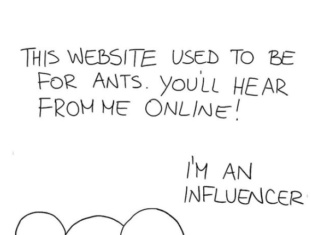 Couple Made Comics About Their Work in the Tourist Industry