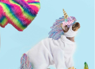 Designer Makes Hilarious Cat Costumes You Will Love
