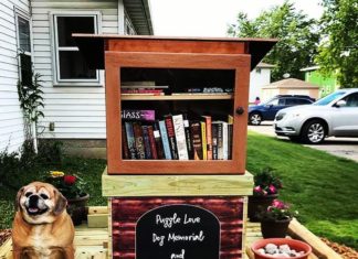 Little Free Libraries Are Popping Up Everywhere, Turning Kids Into Readers!