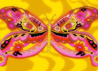 Take It Easy with Krista Perry’s Illustrations