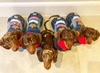 This Sausage Squad is Spoiled to Bits!