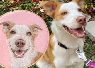 Dani Ives Uses Needles and Wool to Create Amazing Artwork