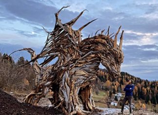 Artist Creates Astonishing Wood Sculptures Out of Destroyed Trees