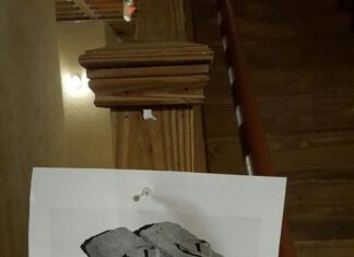 36+ Terrible Neighbors We’re Glad We Don’t Live Next To