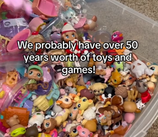 TikToker Showcases an Impressive Collection of Toys Collected for 50+ Years