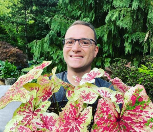 Raffaele Di Lallo Quit His Corporate Job to Share Houseplant Advice